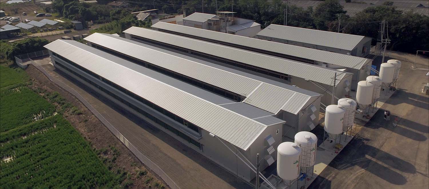 ��������t�@�[��