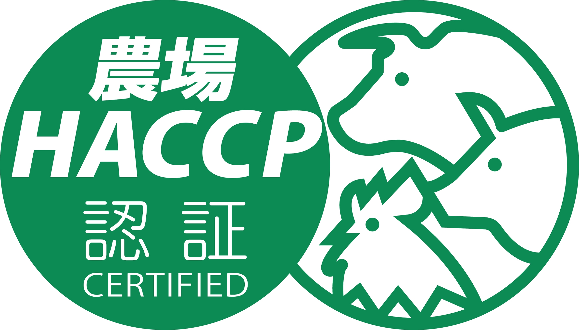 �_��HACCP�F�ؔԍ� ����琬���107�� / ��������t�@�[����354��