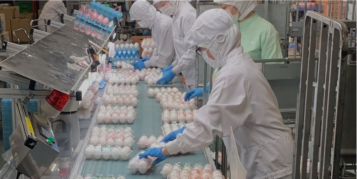 GP�Z���^�[