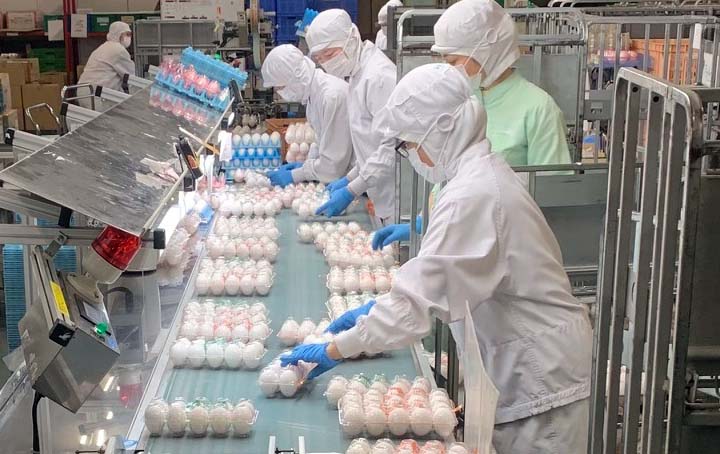 GP�Z���^�[