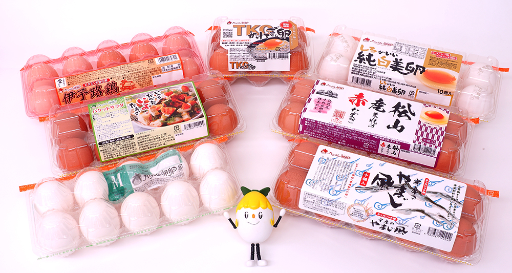 �t���b�V������