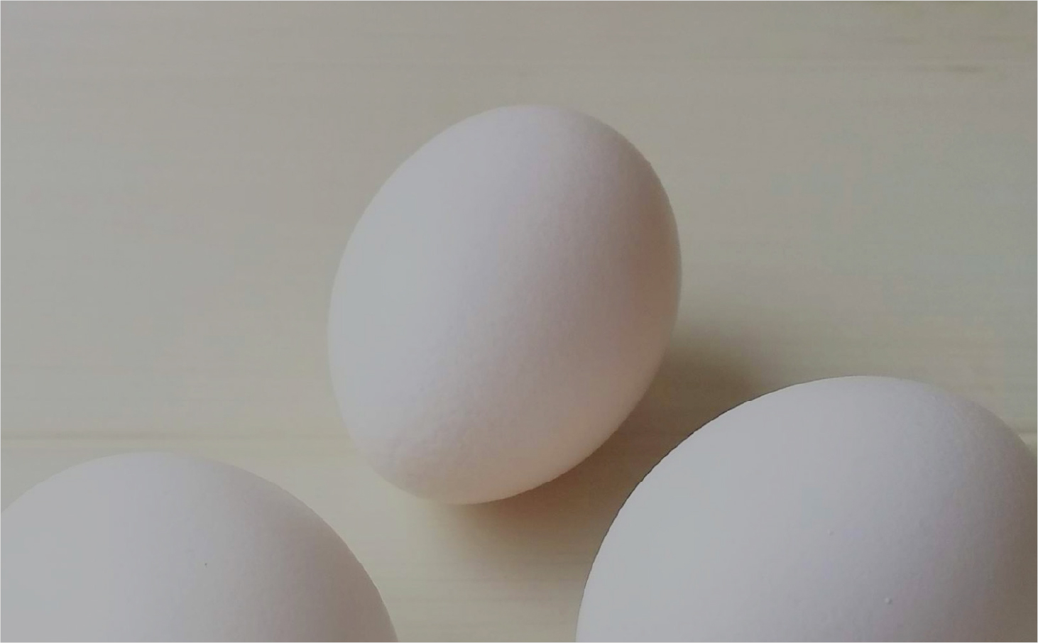 ���S�E���S�̎��g��