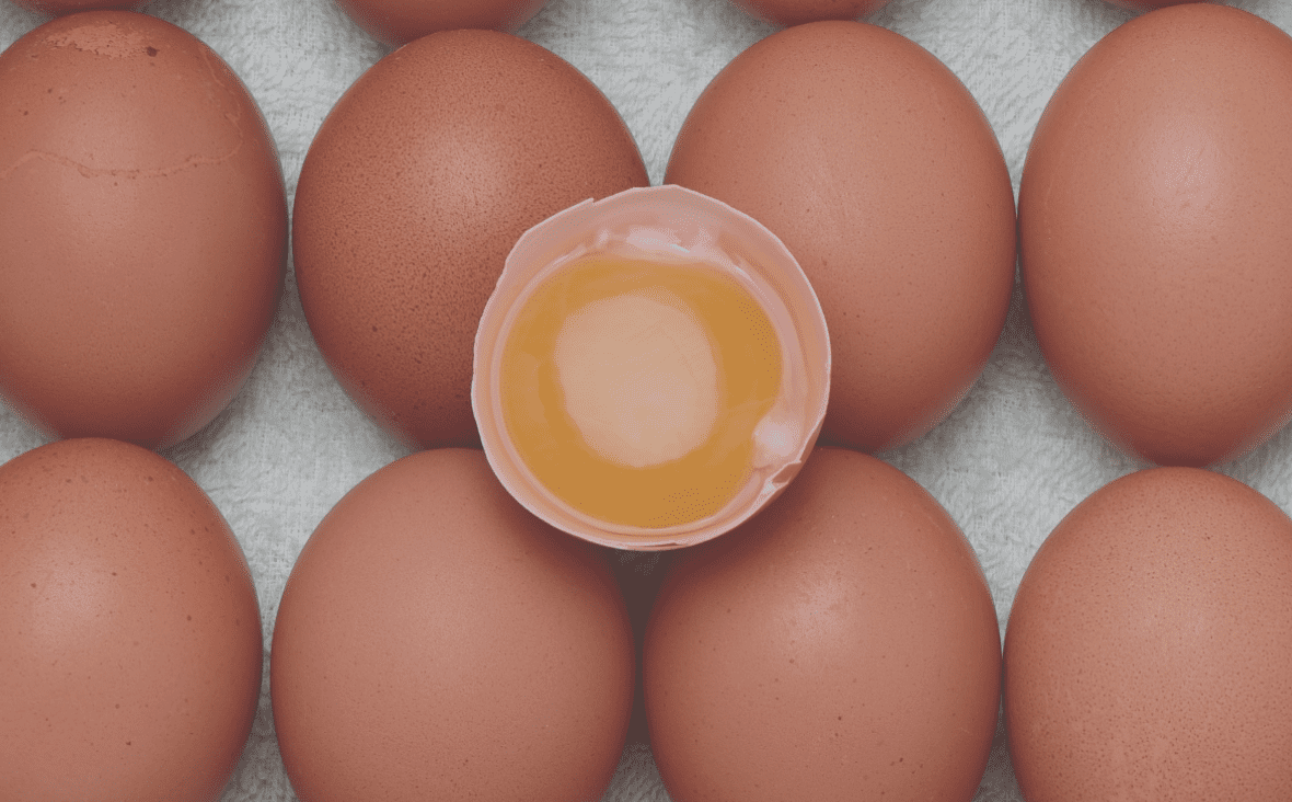 �@�l�̂��q�l��